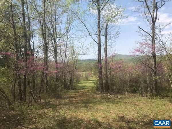 Covesville, VA 22931,0 FABER RD #ALB LOT 013A0, ALB L