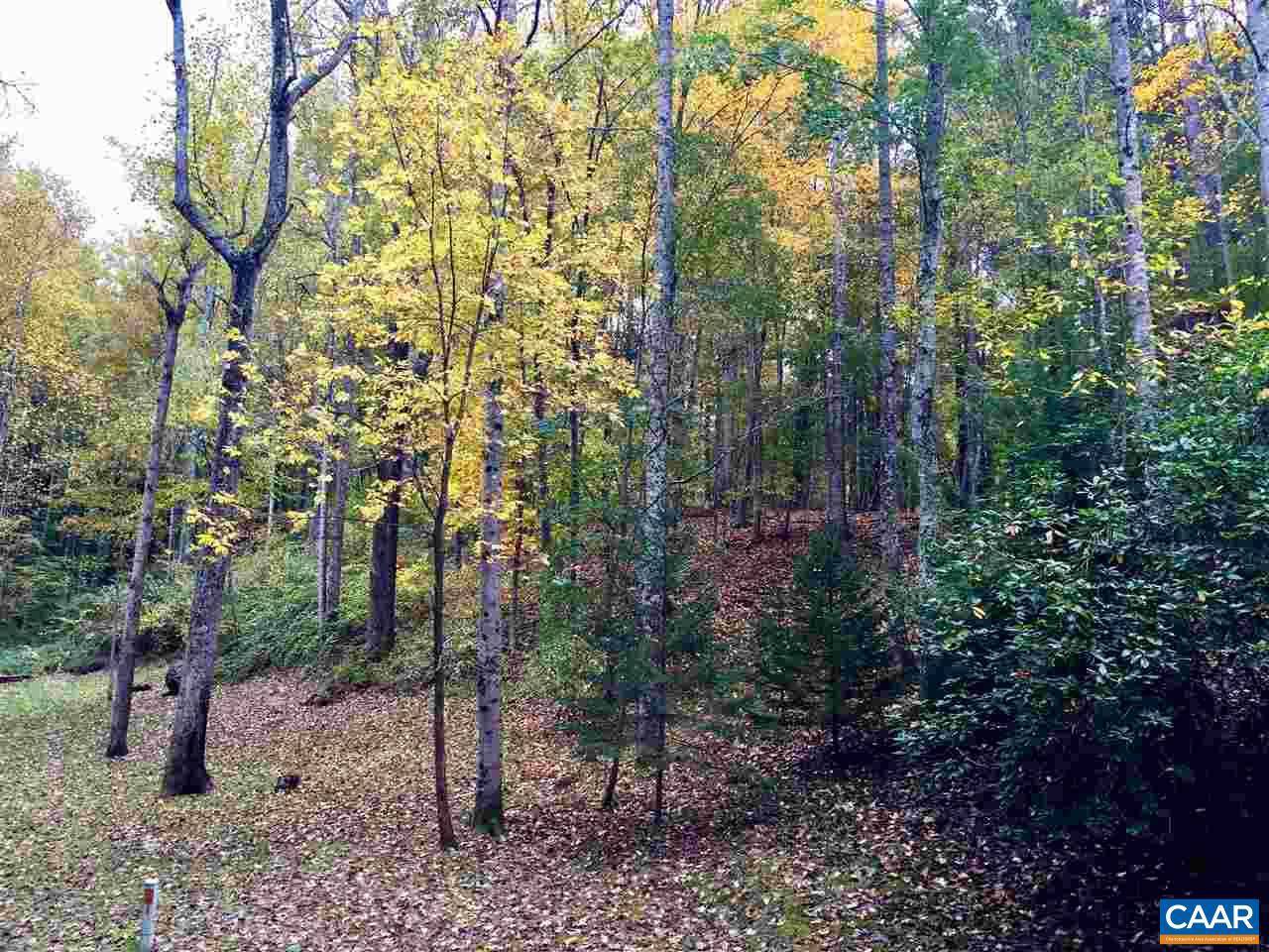 Afton, VA 22920,HEARTWOOD RD RD