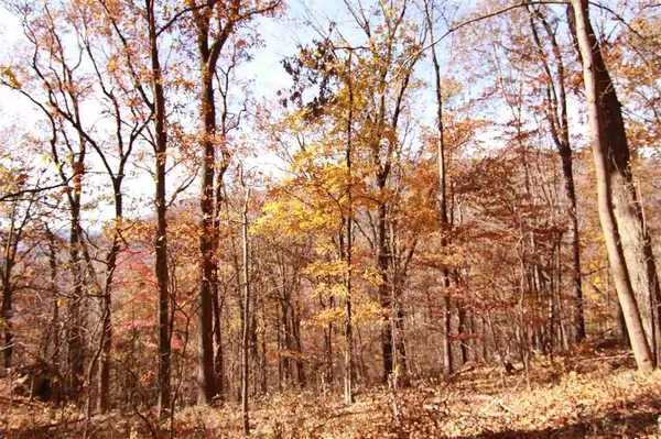 Nellysford, VA 22958,521 FAR KNOB CLIMB