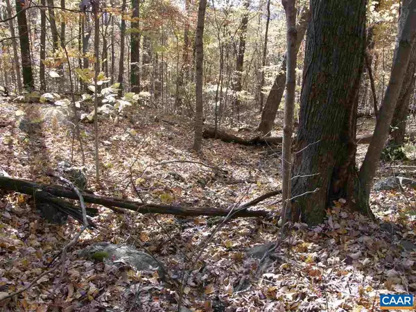 LOT H OLD STONEY CREEK RD RD #LOT H OLD STONEY CRE, Nellysford, VA 22958