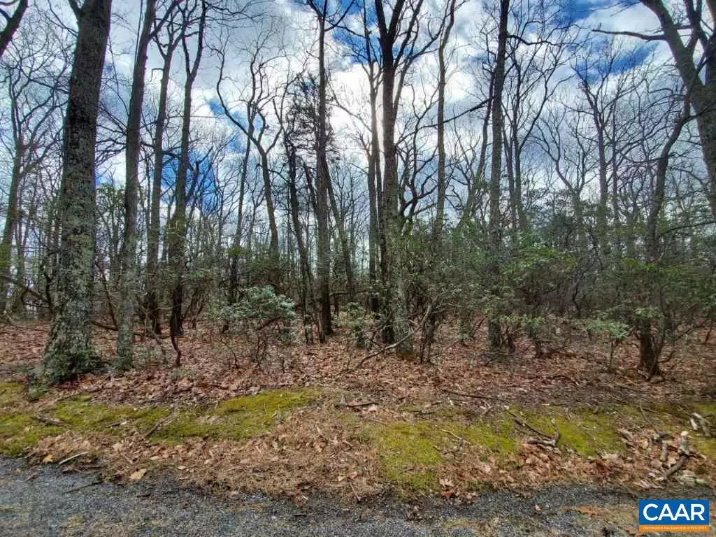 Wintergreen, VA 22958,45 BUTTERNUT LN LN #LOT 15 LAUREL RIDGE