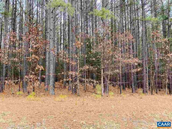 LOT 39 COUNTRY CREEK WAY WAY, Palmyra, VA 22963