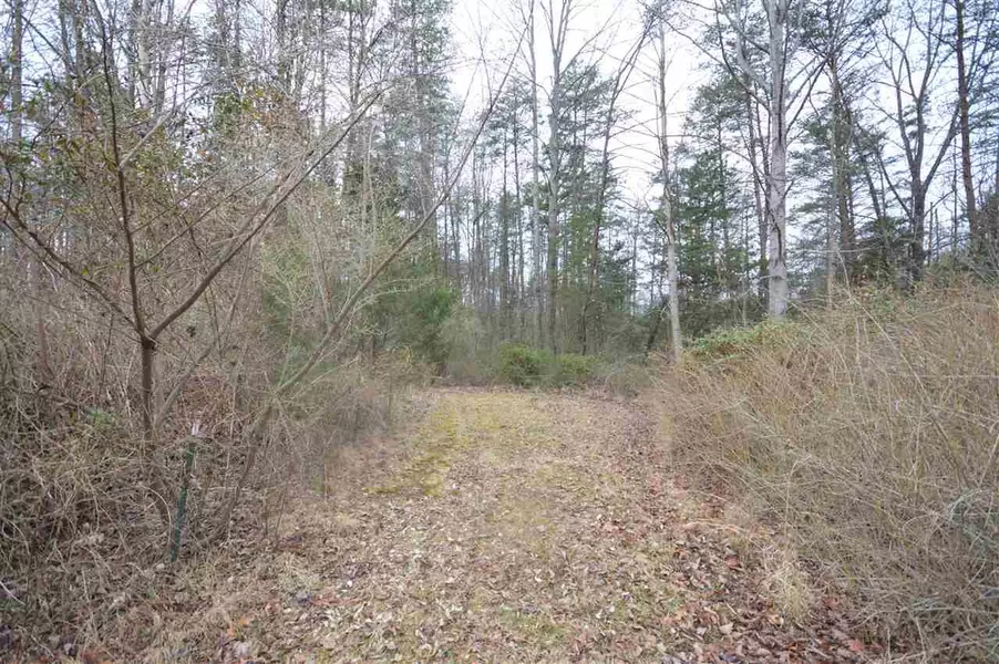 LOT C LAMM RD RD, Ruckersville, VA 22968