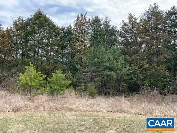 LOT 4 NAYLOR LN, Palmyra, VA 22963