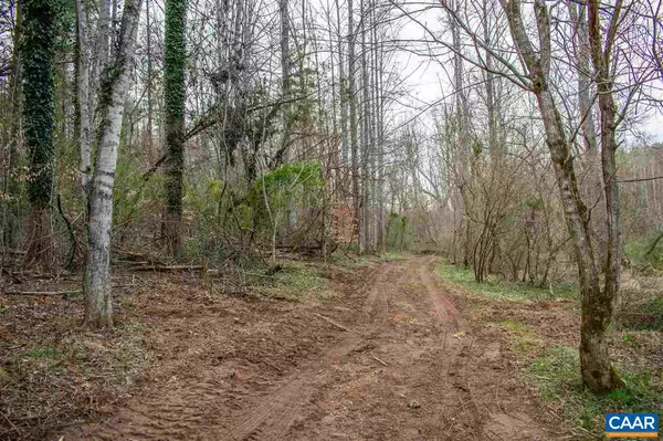 Earlysville, VA 22936,LOT 005C0 DURRETT RIDGE RD RD #005C0