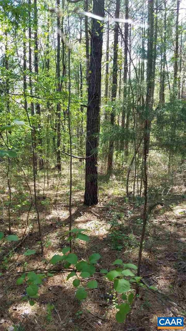 Bumpass, VA 23024,LOT 7 SADDLEBACK FARM LN LN #7