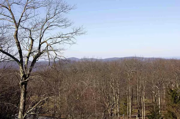 Wintergreen Resort, VA 22967,3204 NORTH RIDGE CONDOS RDG