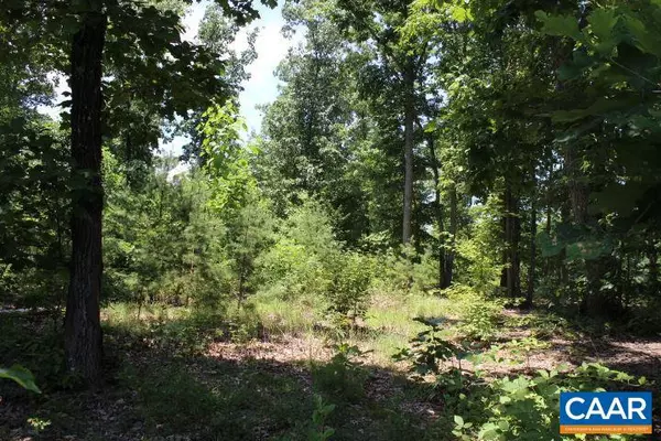 Dillwyn, VA 23936,LOT 1 SPENCER RD RD