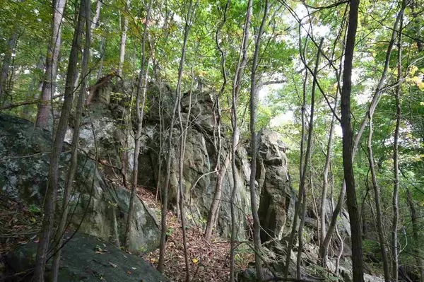 Nellysford, VA 22958,489 FAR KNOB CLIMB