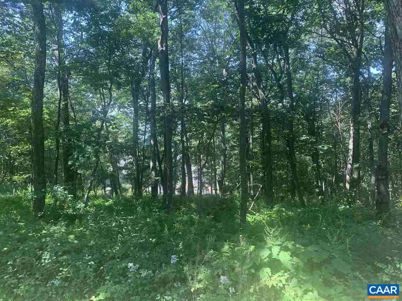 26 INDIAN POINT TRL #PRYOR CAMP LOT 40, Wintergreen Resort, VA 22967