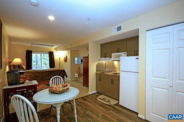 2076 STONE RIDGE CONDOS, Wintergreen Resort, VA 22967