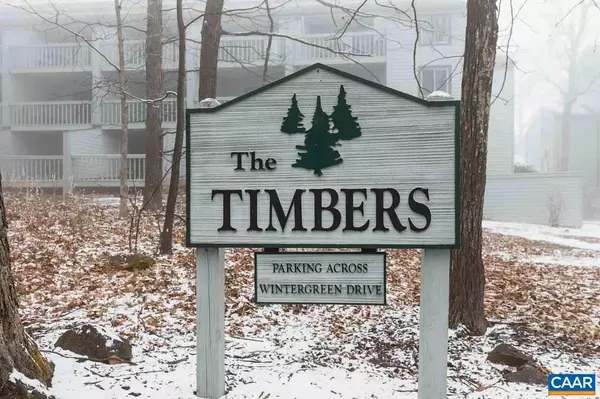 250 TIMBERS CONDOS, Wintergreen Resort, VA 22967