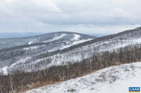 Roseland, VA 22967,1606 OVERLOOK