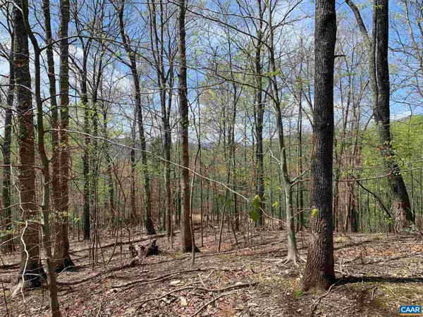 Nellysford, VA 22958,LOT 4 EAGLES RIDGE RD RD