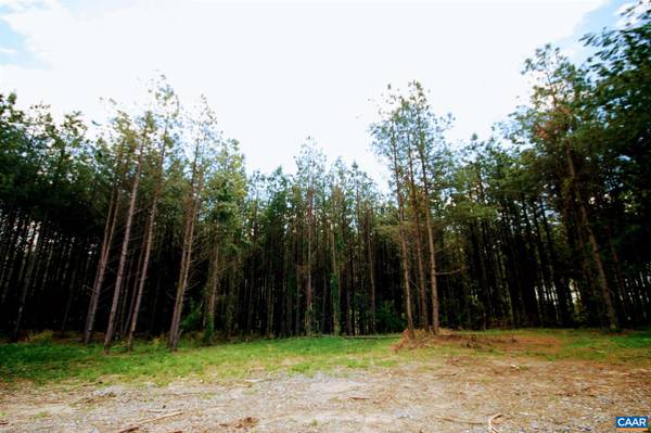 Orange, VA 22960,TBA LOT 2 MONROVIA RD RD #LOT 2