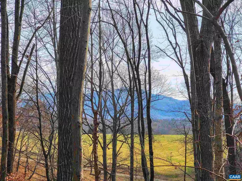 LOT I BLUNDELL HOLLOW RD #I, Afton, VA 22920