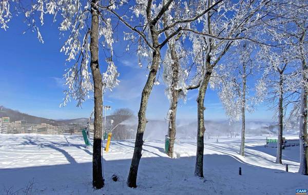 241 TIMBERS CONDOS, Wintergreen Resort, VA 22967