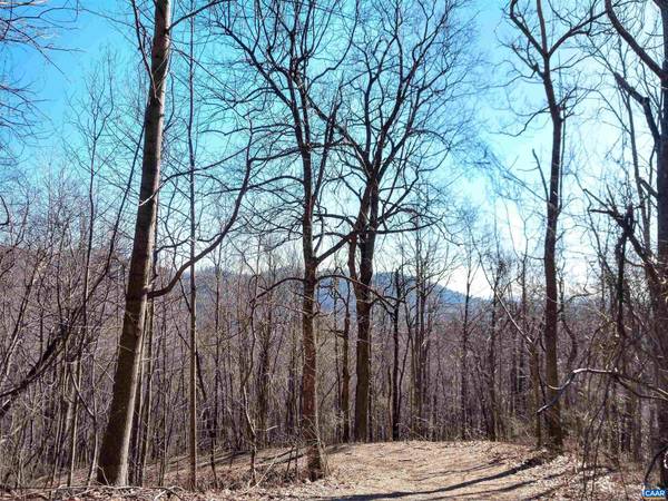 CUB CREEK RD #30 5 5, Roseland, VA 22967