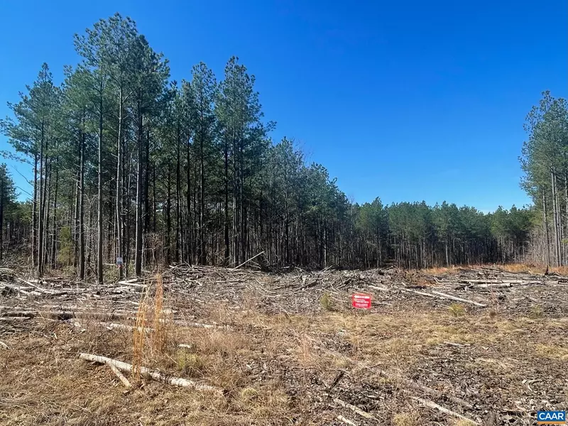 0 GEORGIA CREEK RD #LOT 76, Scottsville, VA 24590