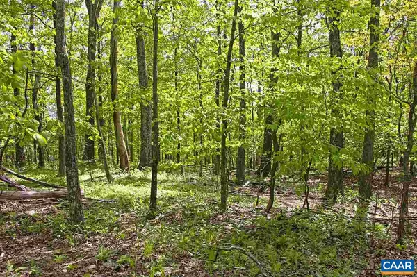 Roseland, VA 22967,23 GRASSY OVERLOOK