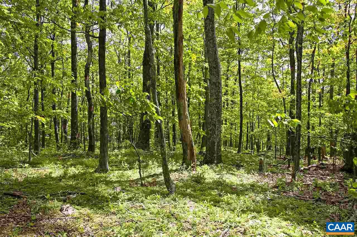 Roseland, VA 22967,23 GRASSY OVERLOOK