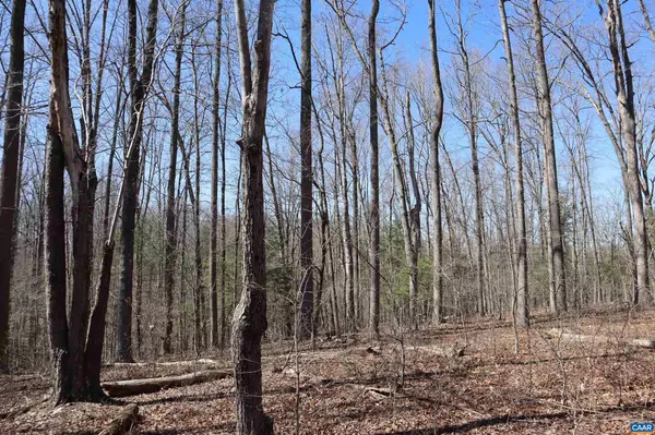 Earlysville, VA 22936,LOT 53 HEMLOCK CREEK CT #53