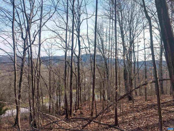 LOT 7 ROCKFISH HEIGHTS LN #7, Nellysford, VA 22958