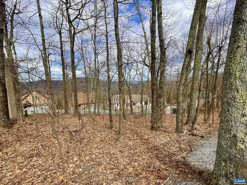 443 TYRO LN, Wintergreen, VA 22958