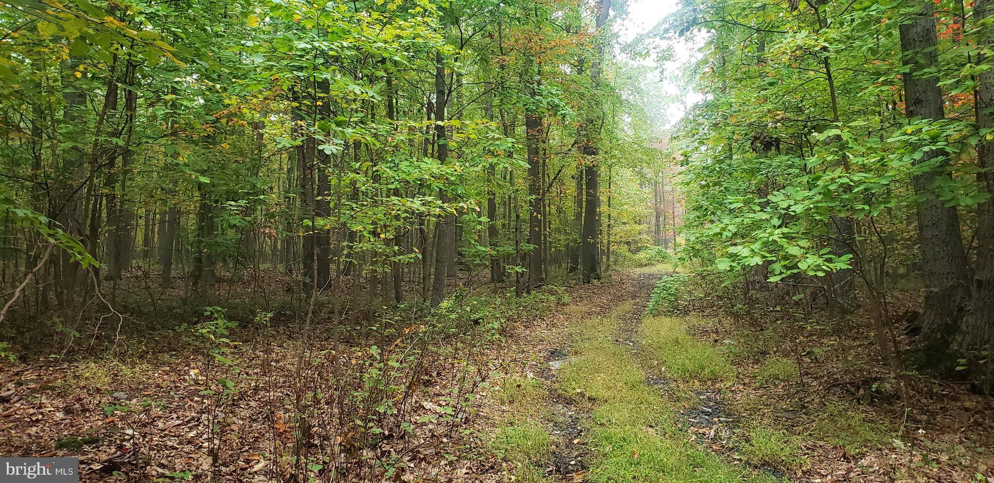 2647 COUNTY LINE RD, York Springs, PA 17372