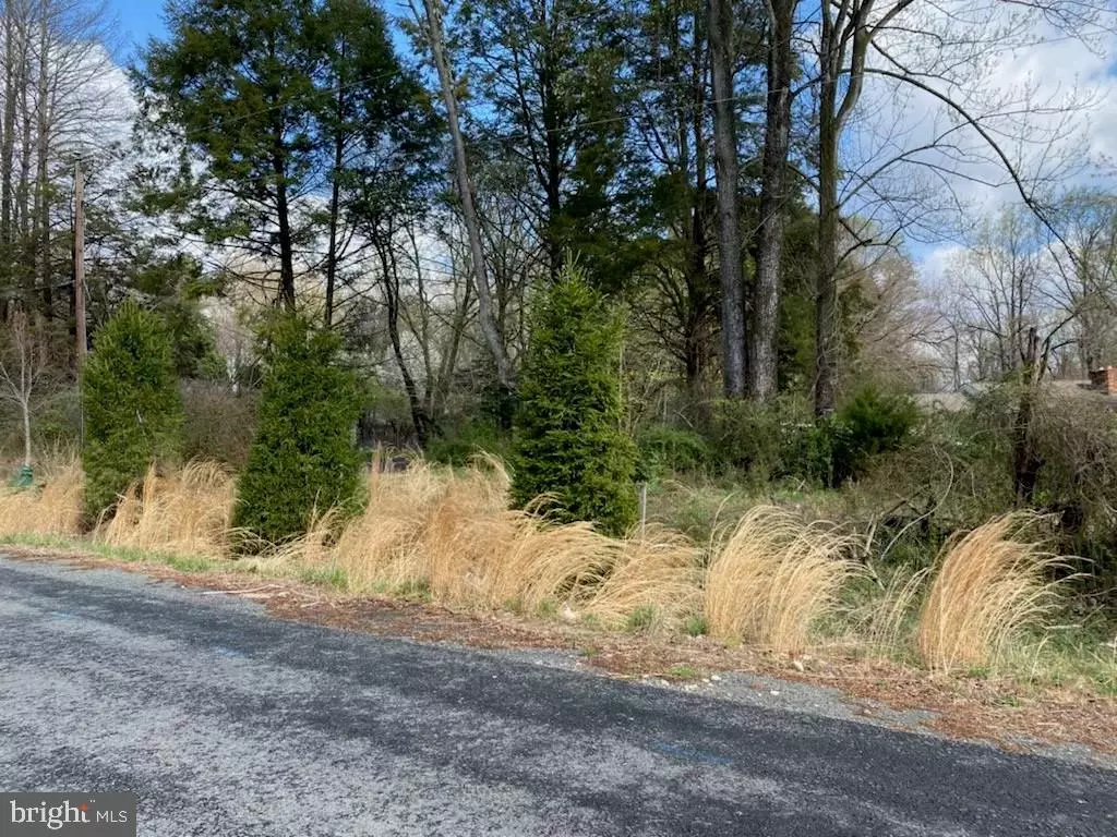 Great Falls, VA 22066,1037 SPRINGVALE RD #LOT 39A