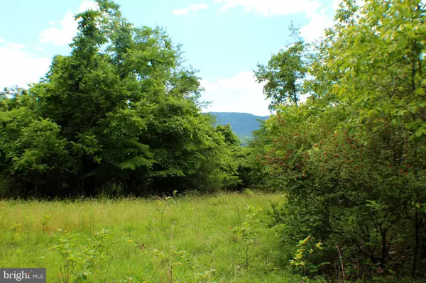 Moorefield, WV 26836,15.87 AC OFF OLD SCOTT FARM RD