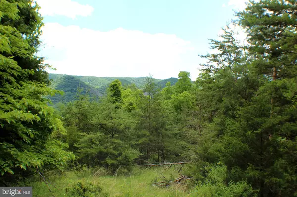 Moorefield, WV 26836,15.87 AC OFF OLD SCOTT FARM RD