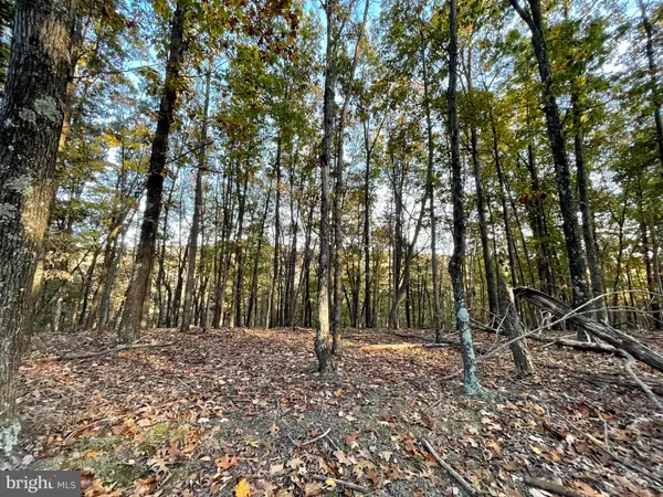 Gerrardstown, WV 25420,LOT #20 OTTER CREEK DR