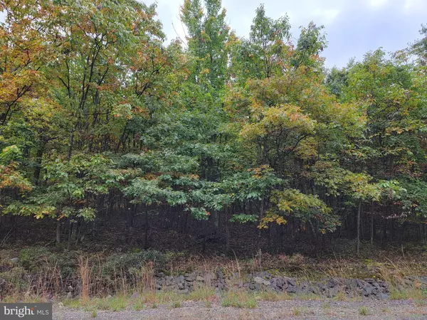 Hazle Township, PA 18201,LOT 82 ELDERBERRY