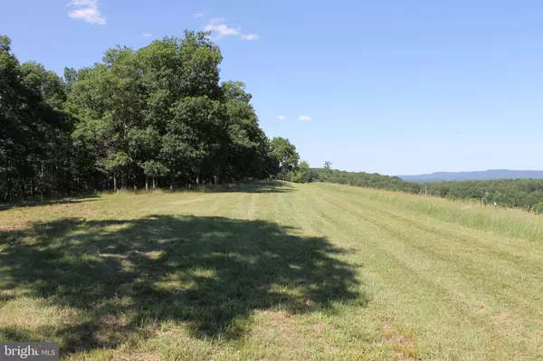 Burlington, WV 26710,29.63 AC PUSH ROOT RD