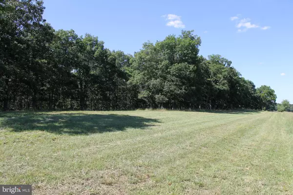 Burlington, WV 26710,29.63 AC PUSH ROOT RD