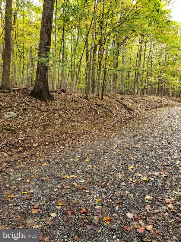 Berkeley Springs, WV 25411,FLAGSTONE