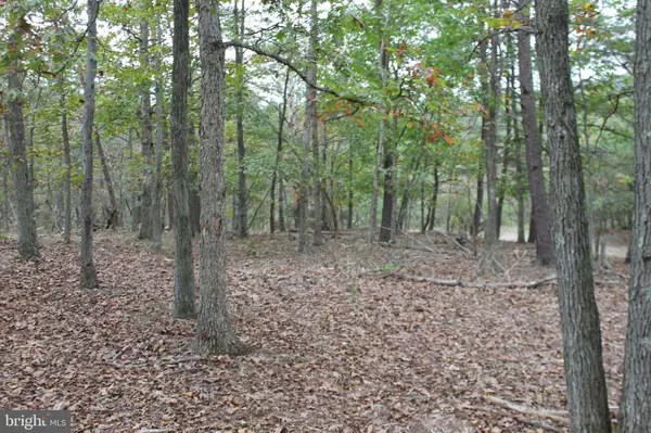 Keyser, WV 26726,0.890 ACRES FOUNTAIN HEAD DRIVE