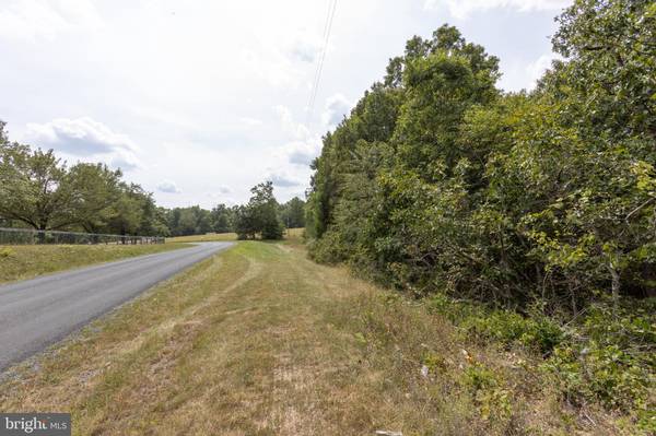 Fort Valley, VA 22652,TBD BOLIVER ROAD