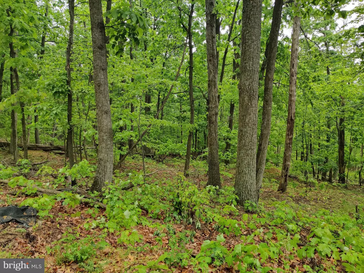 Winchester, VA 22602,LOT 28 JALAPA TRAIL