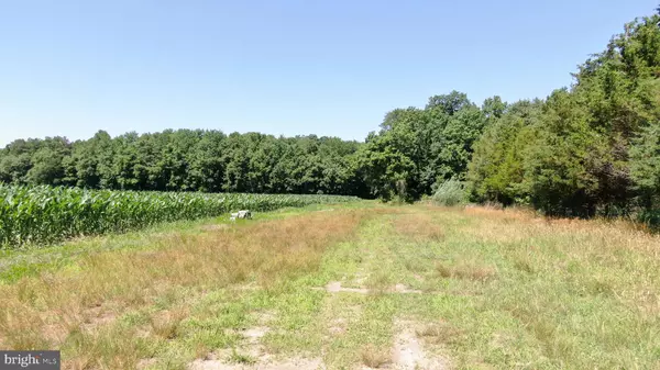 Greenwood, DE 19950,LOT 11 ROUTE 594 (OAK ROAD)