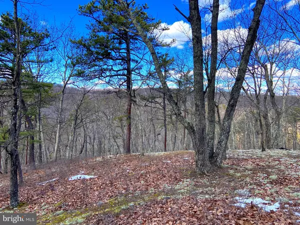 Burlington, WV 26710,LOT 69 WHITETAIL RIDGE