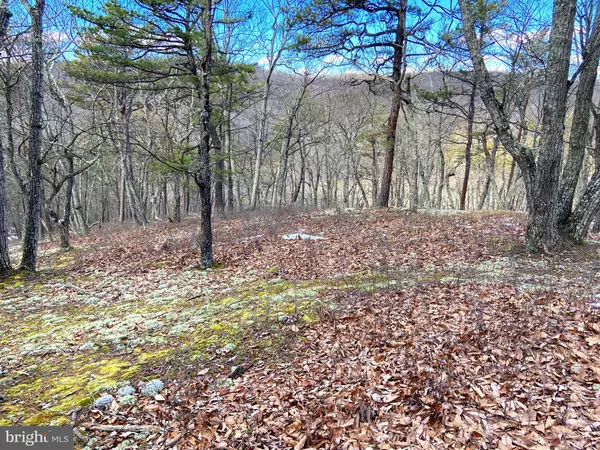 Burlington, WV 26710,LOT 69 WHITETAIL RIDGE