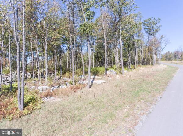 Mc Henry, MD 21541,LOT 2 NORTH CAMP