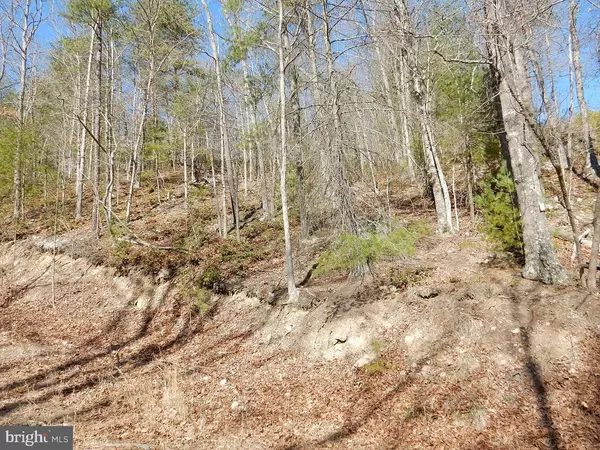 Wardensville, WV 26851,LOT 6 - B SAUERKRAUT ROAD