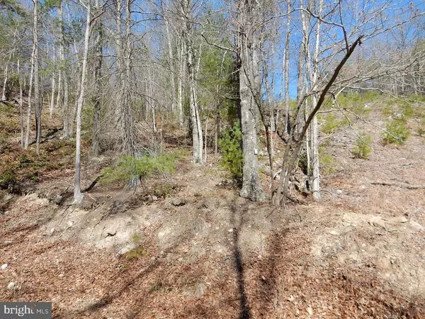 Wardensville, WV 26851,LOT 6 - B SAUERKRAUT ROAD