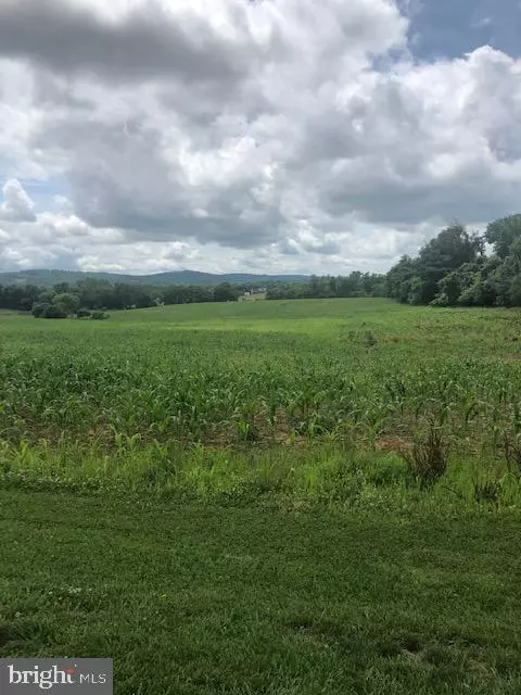 Lovettsville, VA 20180,TAYLORSTOWN