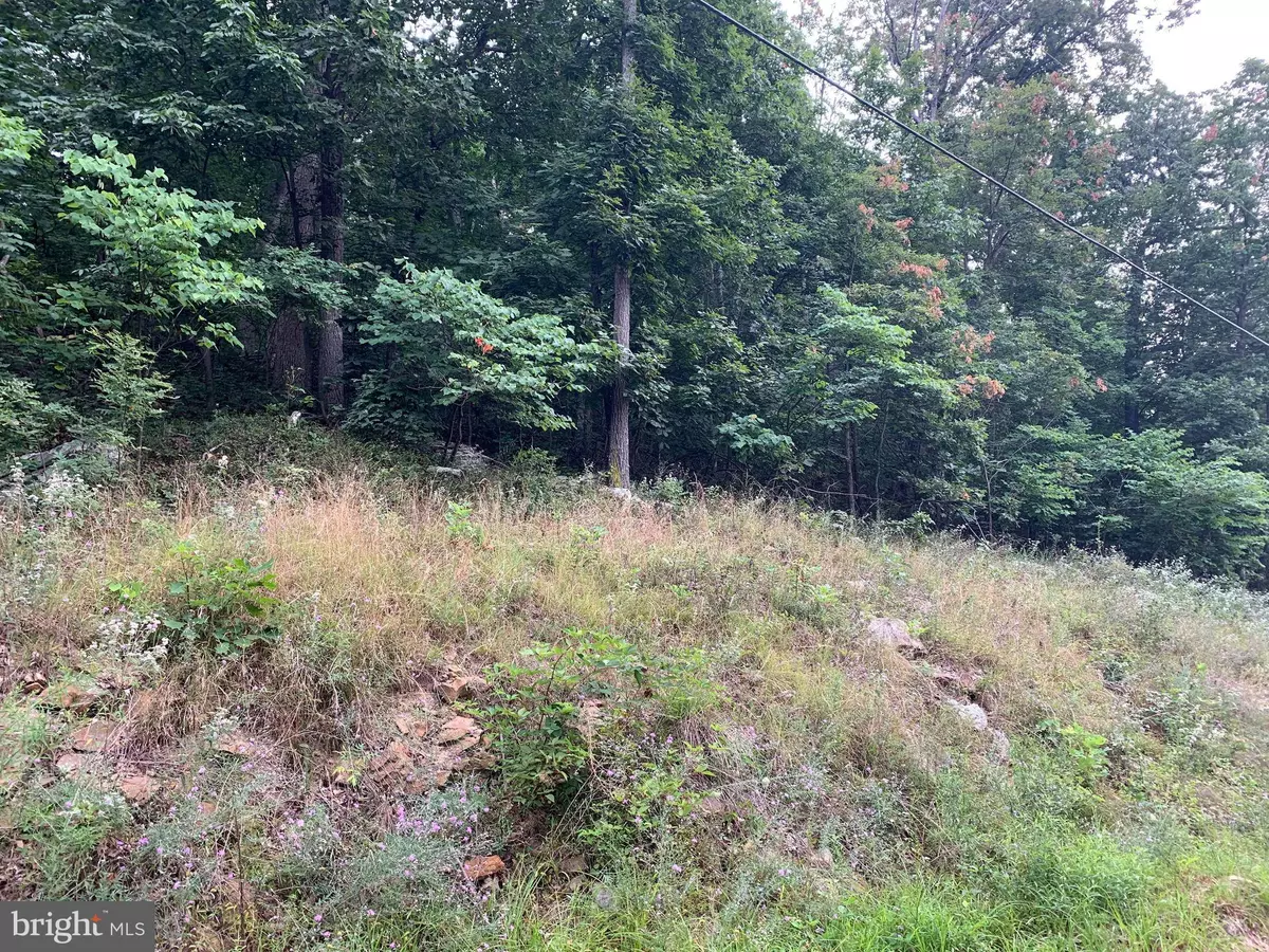 Paw Paw, WV 25434,LOT 32 WESTWOOD DRIVE