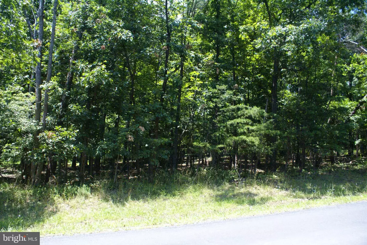 Gore, VA 22637,-LOT # 9 SAWMILL DRIVE