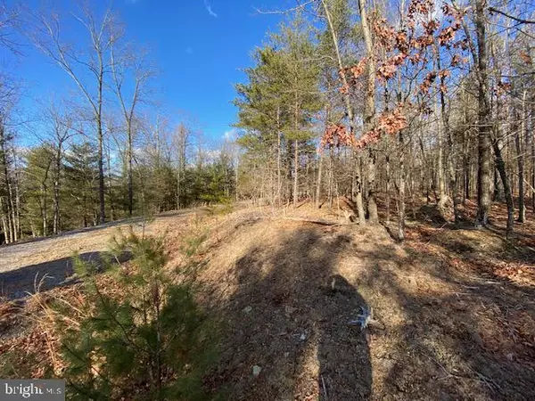 Wardensville, WV 26851,LOT 32 LOOKOUT RIDGE ROAD